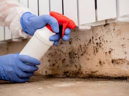 Best Residential Mold Inspection & Testing  in Orida Ridge, FL